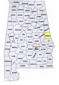 Chambers County, Alabama map