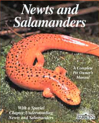 Newts and Salamanders: Everything About Selection, Care, Nutrition, Diseases, Breeding, and Behavior