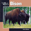 Bison (Our Wide World)