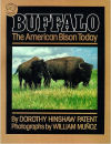 Buffalo: The American Bison Today