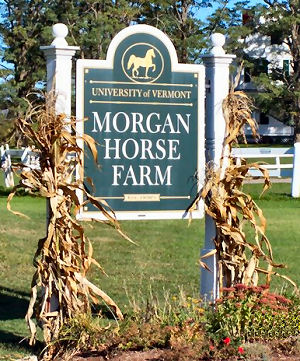 Morgan Horse Farm