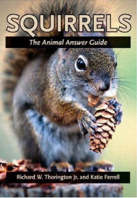 Squirrels: The Animal Answer Guide