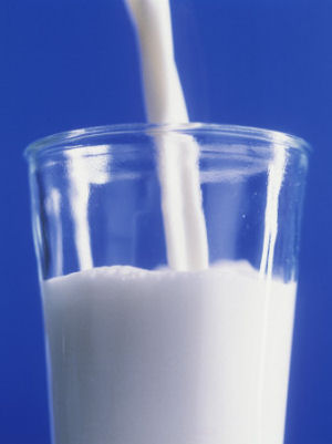 Vermont state beverage milk