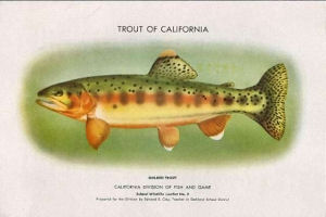 California State Fish and Piscifaunal Emblem 