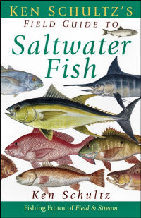 Guide to Saltwater Fish