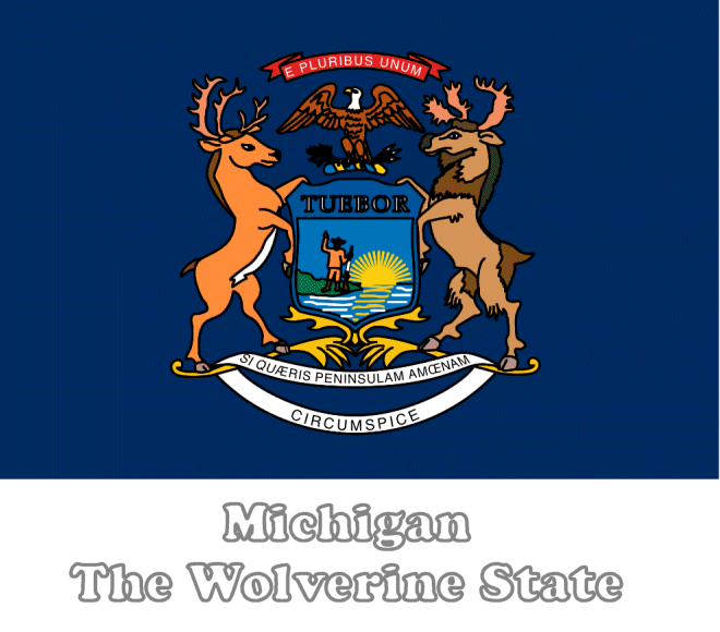 Michigan state flag