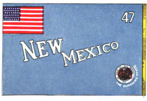 First New Mexico state flag