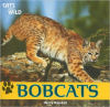Bobcats (Cats of the Wild)