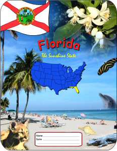 Florida School Report Cover