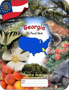 Georgia School Report Cover