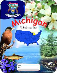 Michigan School Report Cover