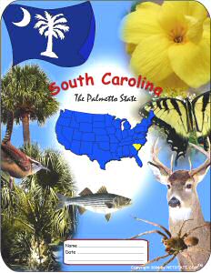 South Carolina School Report Cover