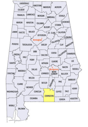 Covington County Alabama Map Covington County, Alabama from NETSTATE.COM