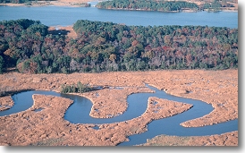 Oblique aerial view of Passmore Creek and marsh, Jamestown Island