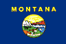 Montana State Flag