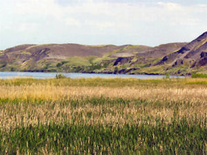 Missouri River: Lewis and Clark first meet Sioux c.1804