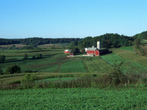 Wisconsin Farm