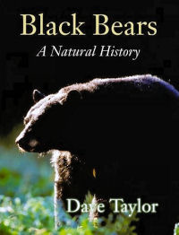 Black Bears: A Natural History