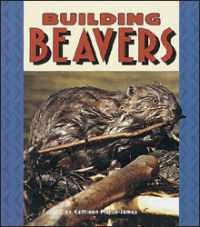 Building Beavers