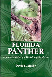 The Florida Panther: Life And Death Of A Vanishing Carnivore