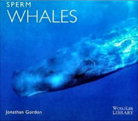 Sperm Whales