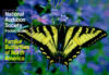 National Audubon Society Pocket Guide to Familiar Butterflies Of North America