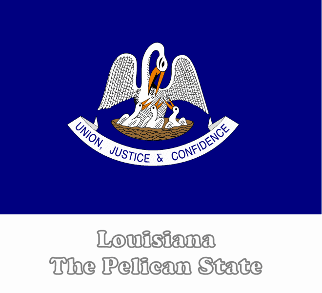 Printable Louisiana State Flag - Printable Word Searches
