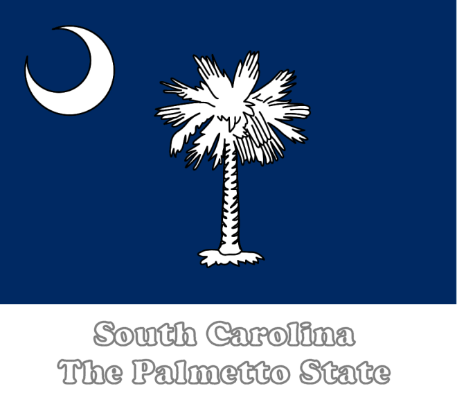 carolina  south flag