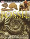 DK Eyewitness Books: Fossil