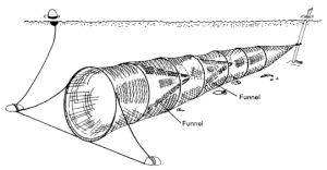 Hoop nets, Cast nets, and Shrimp trawls, Louisiana Cajun and