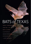 Bats of Texas