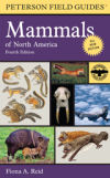 Mammals of North America: Fourth Edition (Peterson Field Guides)