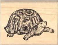 Box Turtle Rubber Stamp