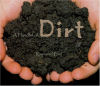 A Handful of Dirt