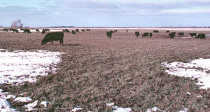 South Dakota state soil