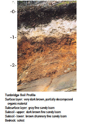 Vermont state soil