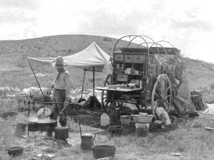 Texas state vehicle