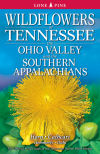 Tennessee State Wild Flower, Passion Flower (Passiflora incarnata ...