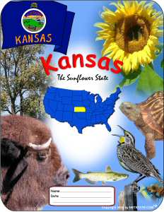 Kansas School Report Cover