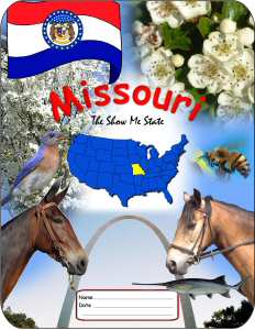 Missouri School Report Cover